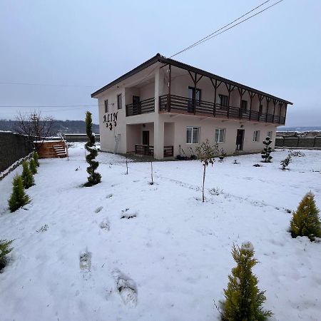 Pensiunea Alin Hotel Sisesti  Екстериор снимка