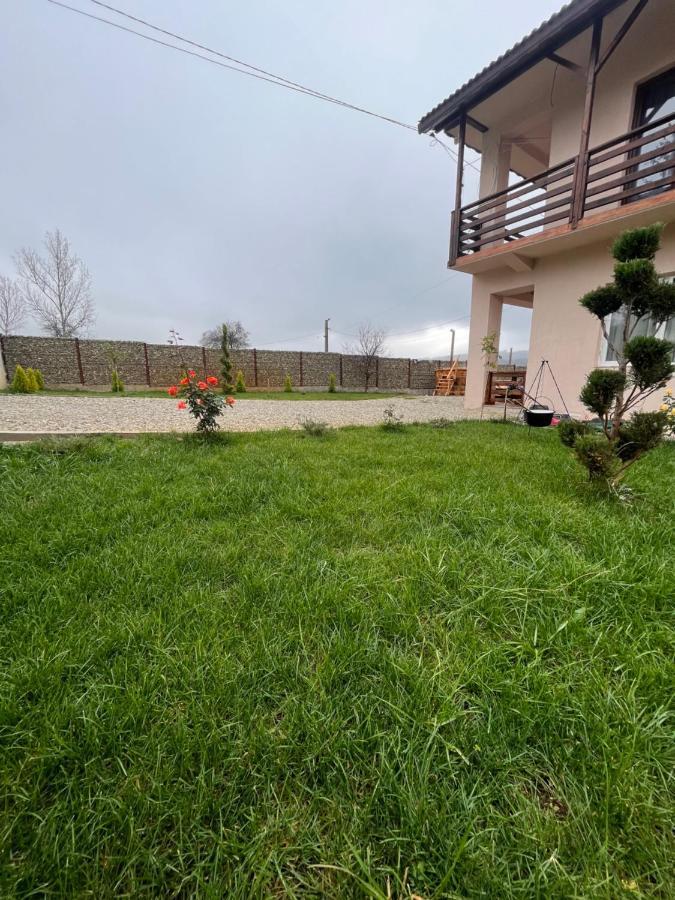 Pensiunea Alin Hotel Sisesti  Екстериор снимка